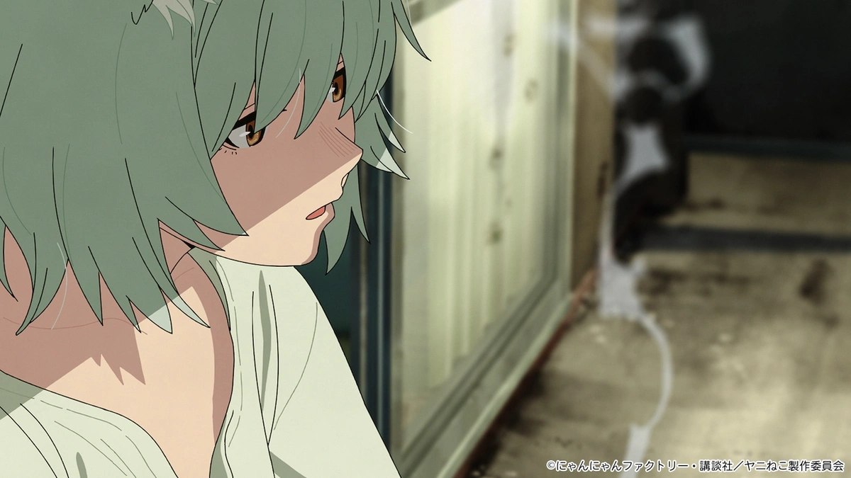 Imagem de destaque post Anime de Chainsmoker Cat Estreia em Julho de 2026 com Yuko Natsuyoshi no Elenco